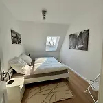 Seelöwe Beim Ochsenturm Am Deich Imsum