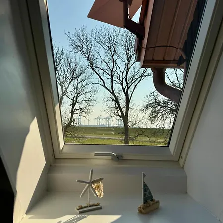 Seeloewe Beim Ochsenturm Am Deich Daire