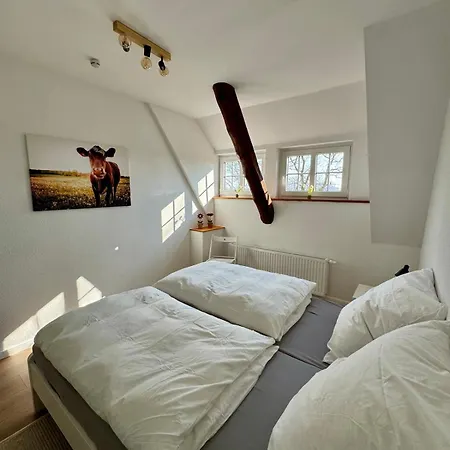 Seelöwe Beim Ochsenturm Am Deich