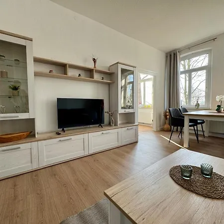 Seelöwe Beim Ochsenturm Am Deich *