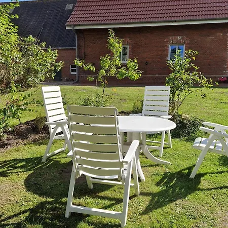 Seeloewe Beim Ochsenturm Am Deich *