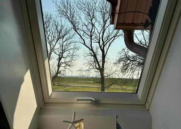 Seelöwe Beim Ochsenturm Am Deich Apartment