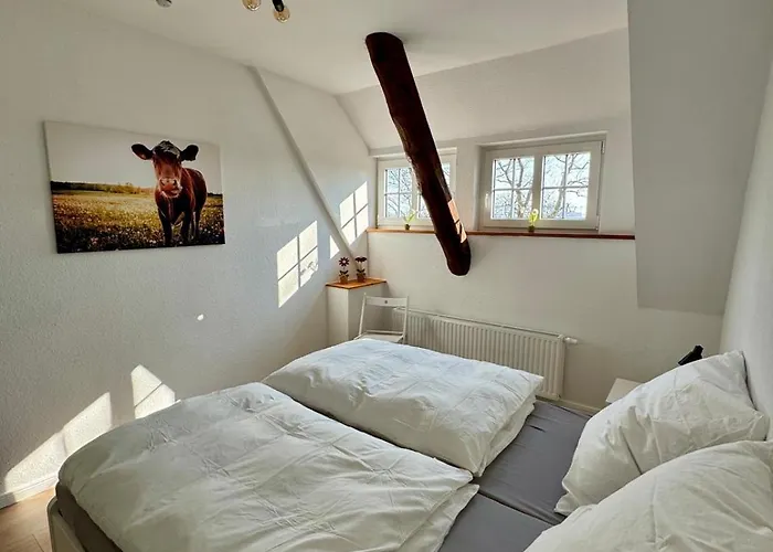 Seelöwe Beim Ochsenturm Am Deich