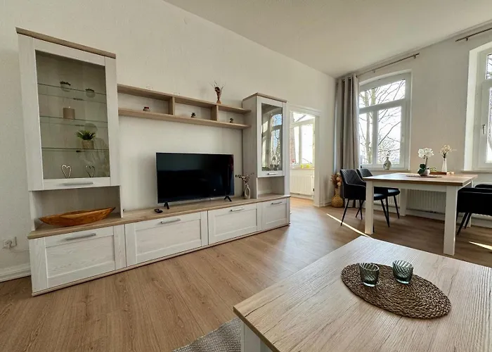 Seelöwe Beim Ochsenturm Am Deich *