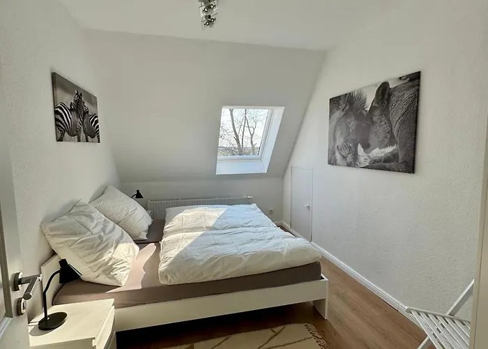 Seelöwe Beim Ochsenturm Am Deich Imsum