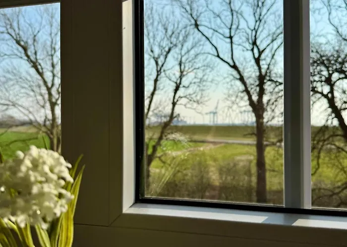 Seelöwe Beim Ochsenturm Am Deich Apartment *